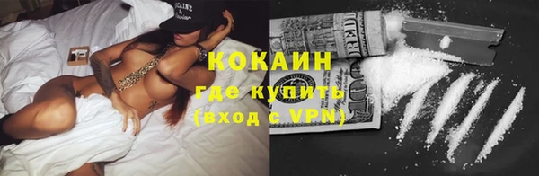 прущие крисы Каменка
