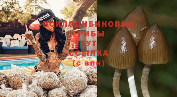 стафф Карталы