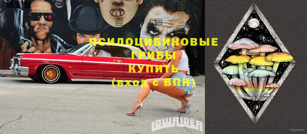 стафф Карталы