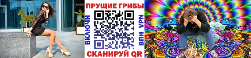 Галлюциногенные грибы ЛСД  hydra ONION  Кинешма 