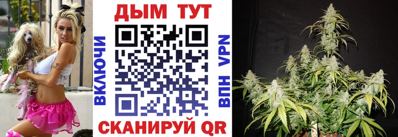 ОМГ ОМГ онион  Кинешма  Бошки Шишки SATIVA & INDICA 